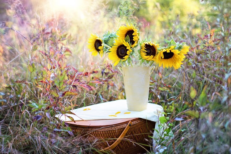 Botanical Decor